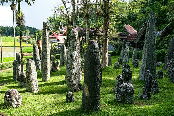 Best Time to Visit Toraja: When Should You Go?