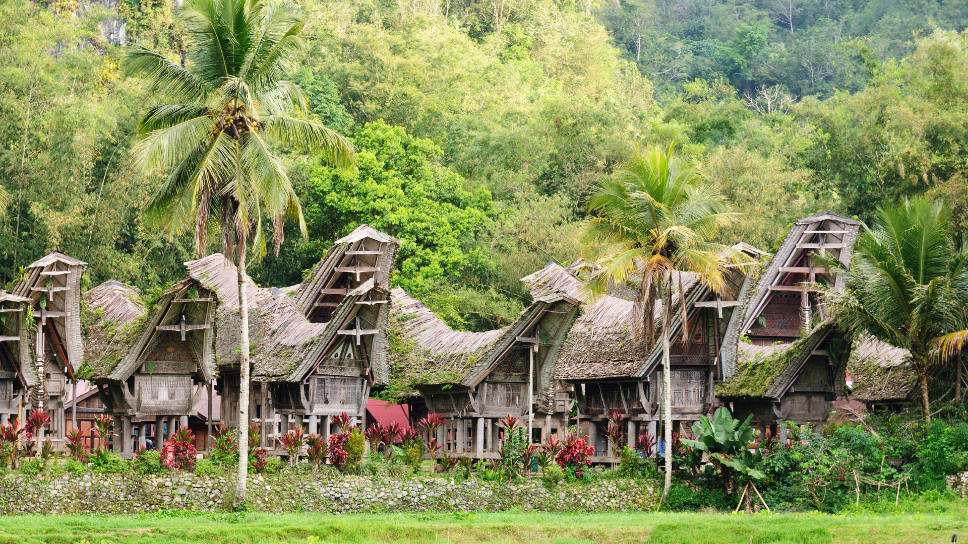 Tana Toraja for Travellers 50+: Comfort, Walking and Accessibility