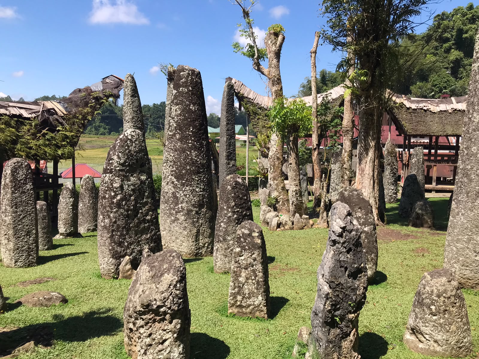 3-Day Tana Toraja Itinerary: A Local Guide for First-Time Visitors